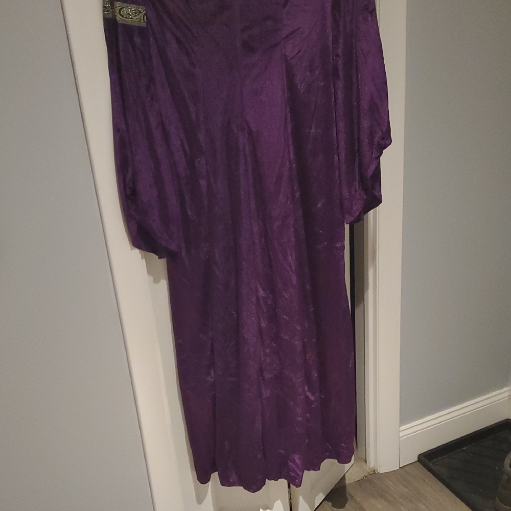 NWOT Renaissance Costume - Picture 7 of 11